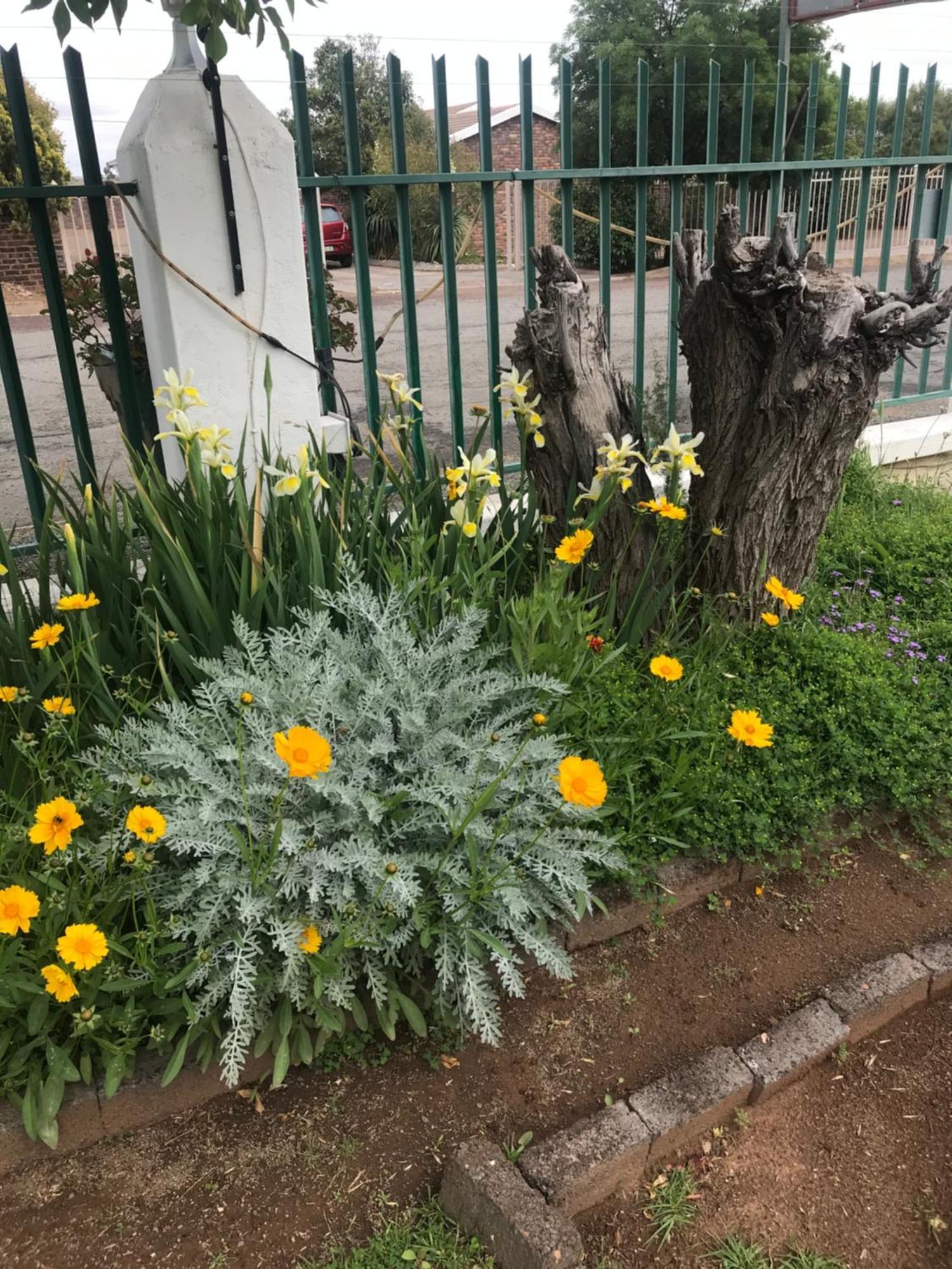 קולסברג Colesview Guest House מראה חיצוני תמונה