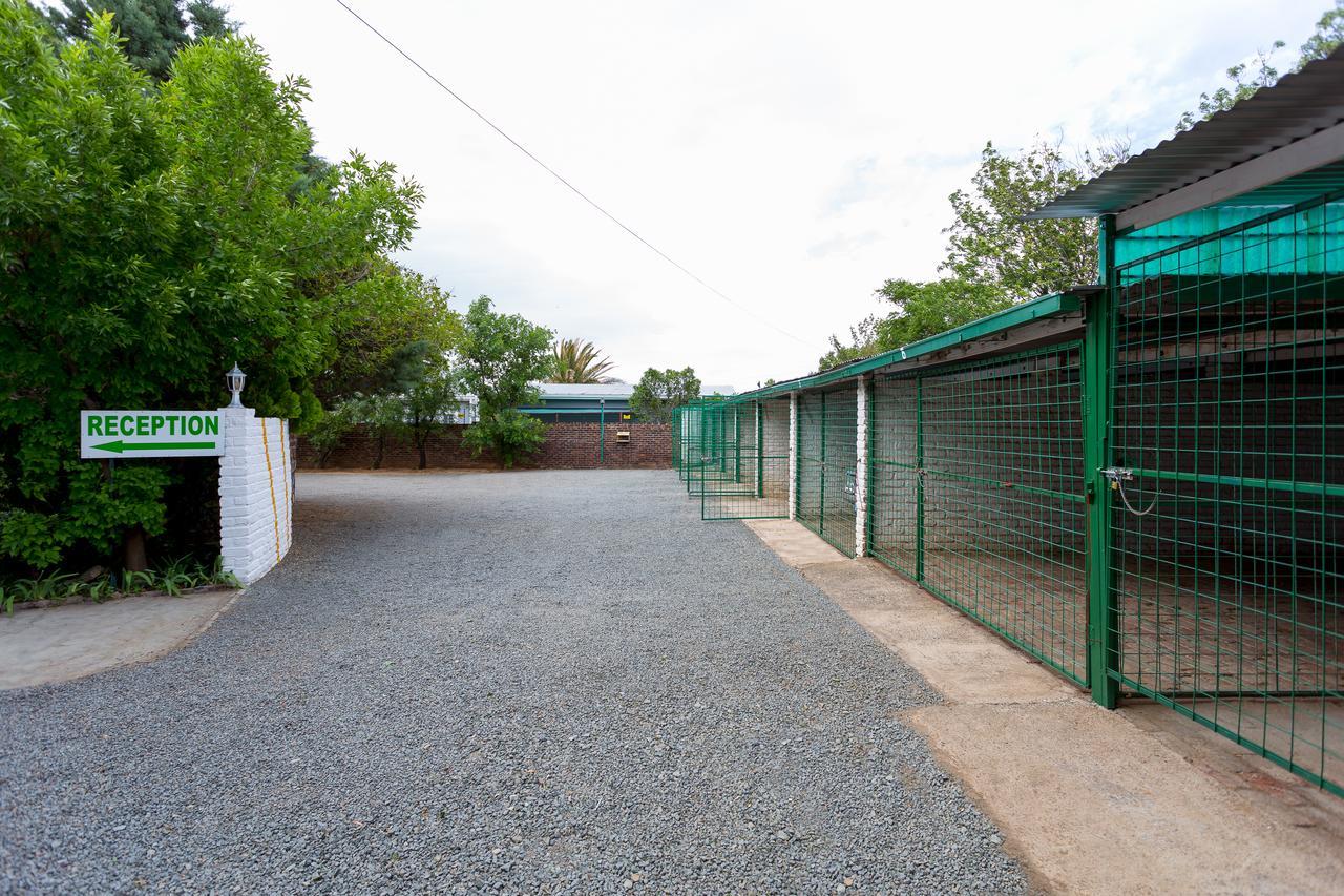 קולסברג Colesview Guest House מראה חיצוני תמונה